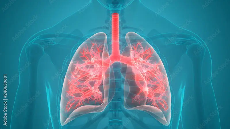 Guide to Preventing Pneumonia In Cold Weather